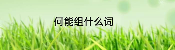 何能组什么词