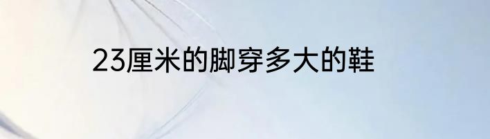 23厘米的脚穿多大的鞋