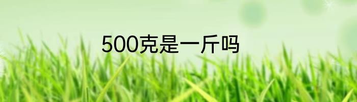 500克是一斤吗