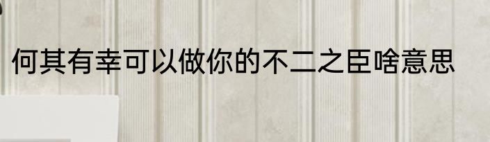 何其有幸可以做你的不二之臣啥意思