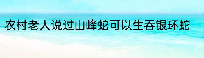 农村老人说过山峰蛇可以生吞银环蛇