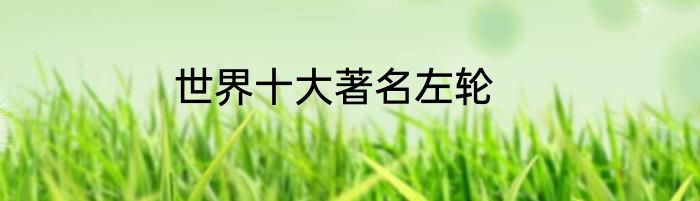 世界十大著名左轮