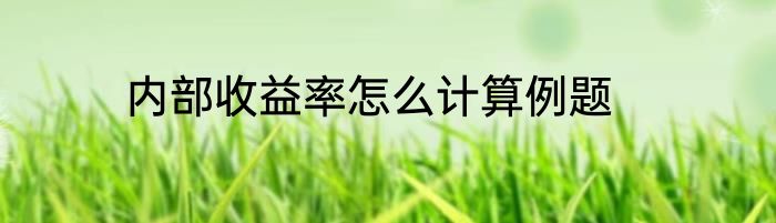 内部收益率怎么计算例题