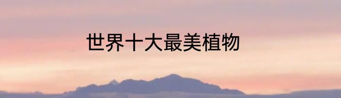 世界十大最美植物