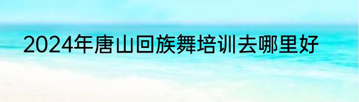 2024年唐山回族舞培训去哪里好