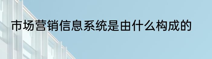 市场营销信息系统是由什么构成的