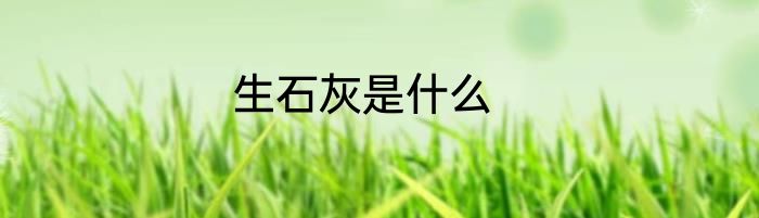 生石灰是什么