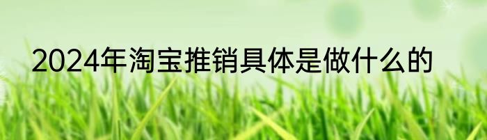 2024年淘宝推销具体是做什么的