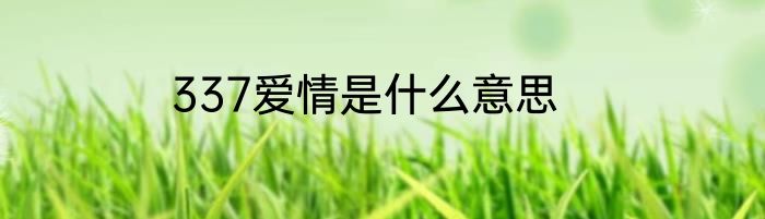 337爱情是什么意思