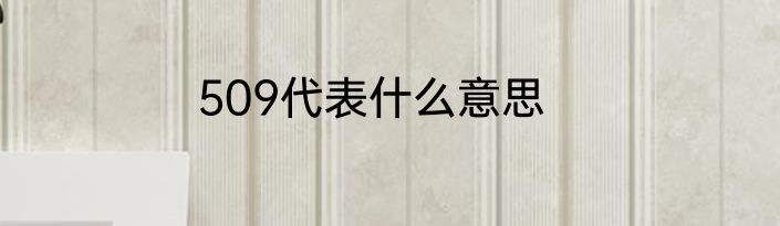 509代表什么意思