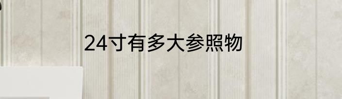 24寸有多大参照物