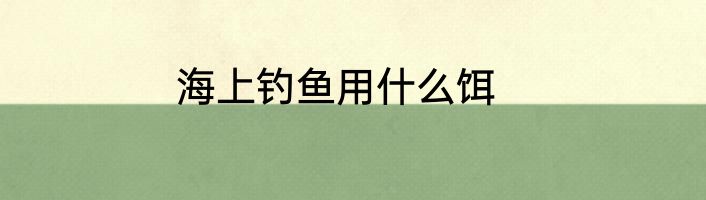海上钓鱼用什么饵