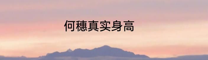 何穗真实身高