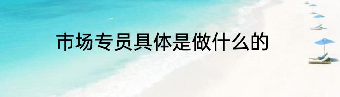 市场专员具体是做什么的