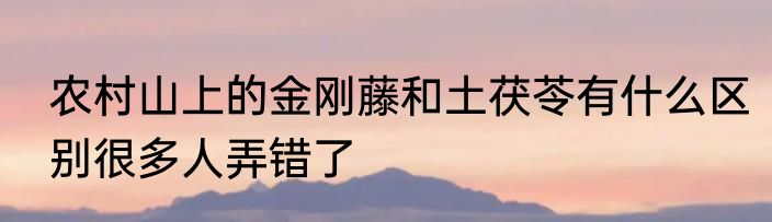农村山上的金刚藤和土茯苓有什么区别很多人弄错了