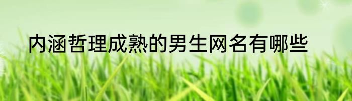 内涵哲理成熟的男生网名有哪些