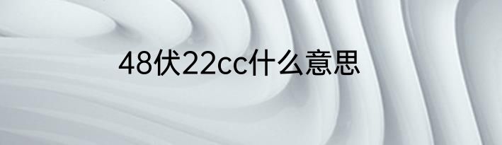 48伏22cc什么意思