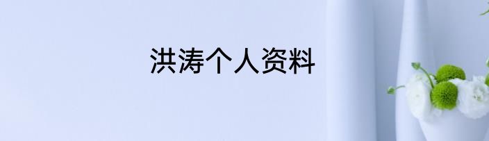 洪涛个人资料