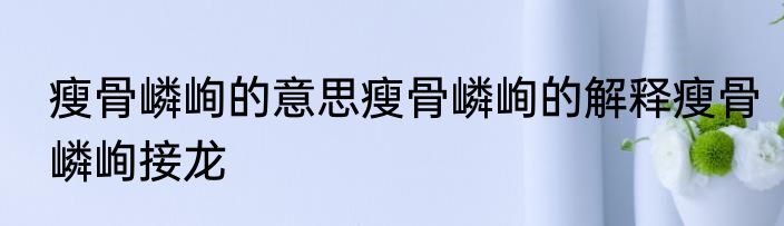 瘦骨嶙峋的意思瘦骨嶙峋的解释瘦骨嶙峋接龙