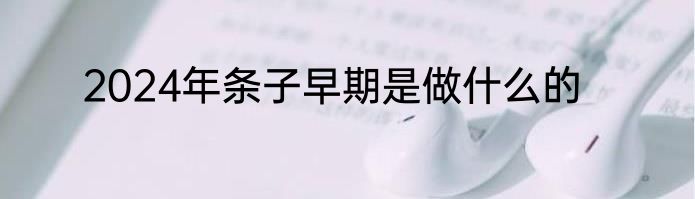 2024年条子早期是做什么的