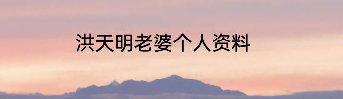 洪天明老婆个人资料