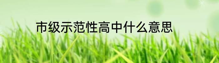 市级示范性高中什么意思