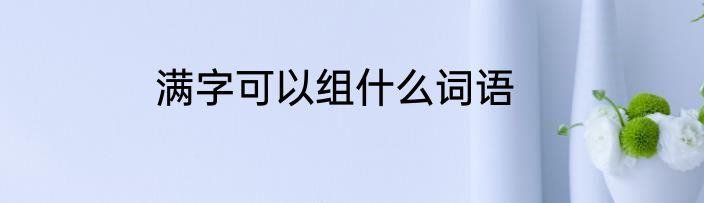 满字可以组什么词语