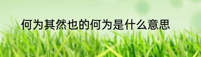 何为其然也的何为是什么意思