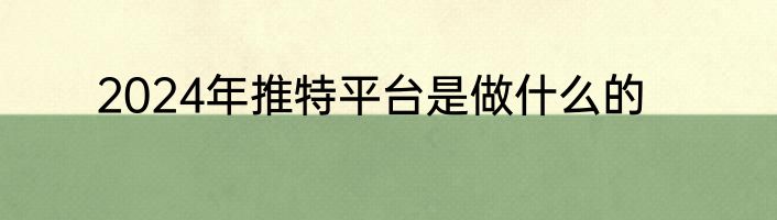 2024年推特平台是做什么的