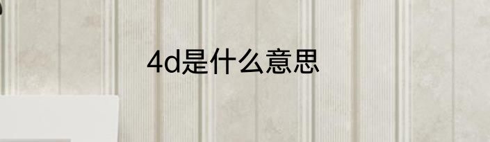 4d是什么意思
