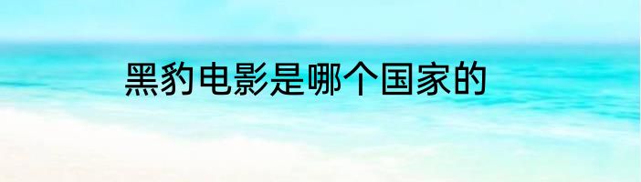 黑豹电影是哪个国家的