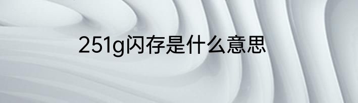 251g闪存是什么意思