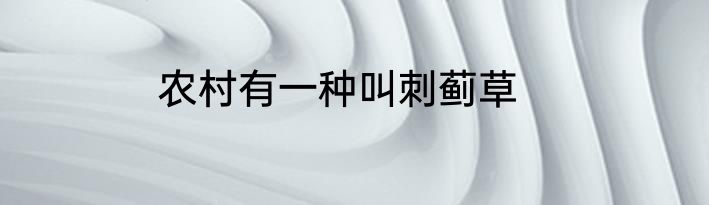 农村有一种叫刺蓟草