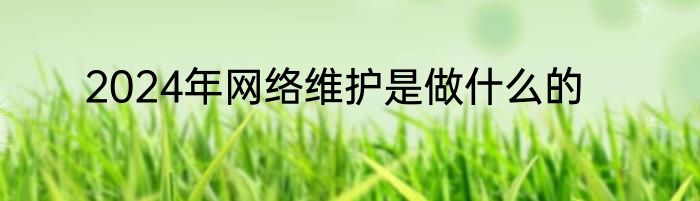 2024年网络维护是做什么的