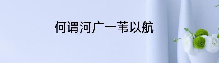 何谓河广一苇以航