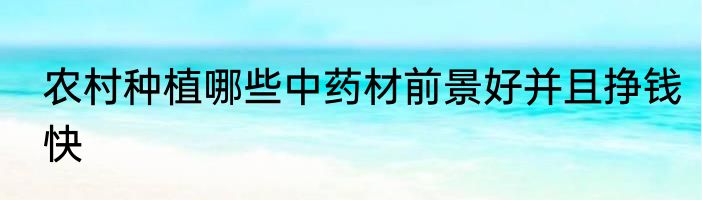 农村种植哪些中药材前景好并且挣钱快