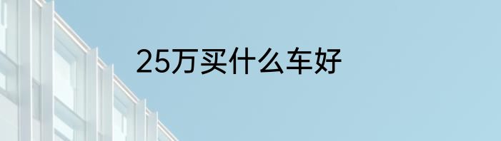 25万买什么车好