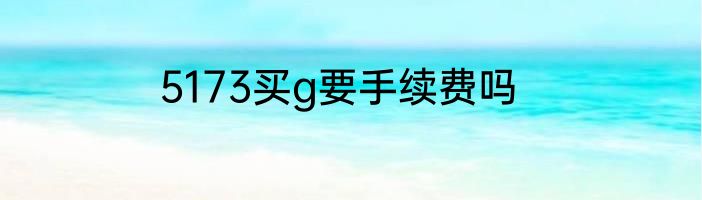 5173买g要手续费吗