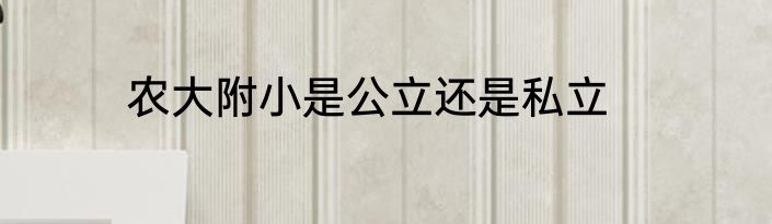 农大附小是公立还是私立
