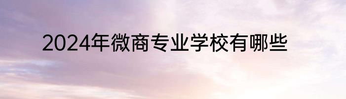 2024年微商专业学校有哪些