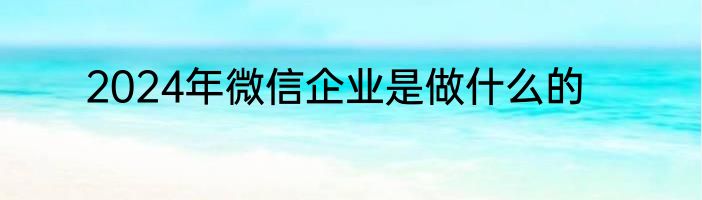 2024年微信企业是做什么的