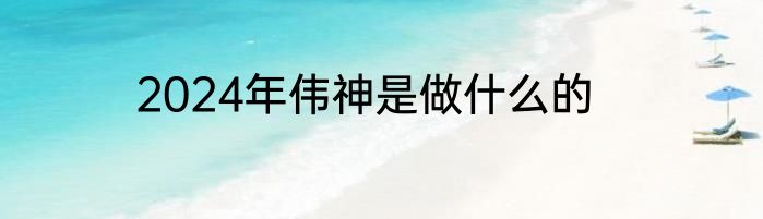 2024年伟神是做什么的