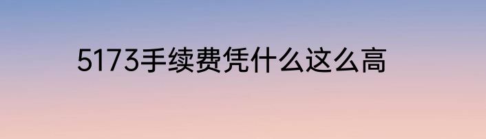 5173手续费凭什么这么高