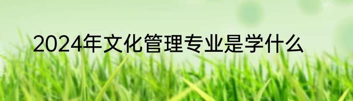 2024年文化管理专业是学什么