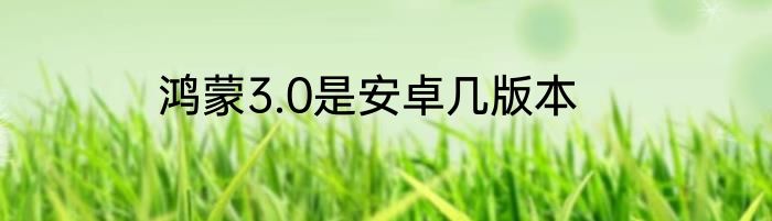 鸿蒙3.0是安卓几版本