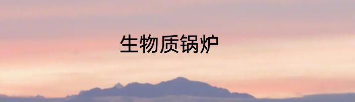 生物质锅炉