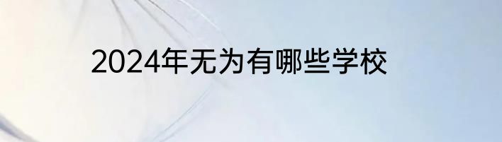 2024年无为有哪些学校