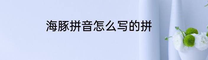 海豚拼音怎么写的拼