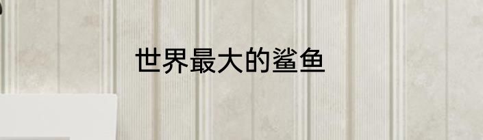 世界最大的鲨鱼