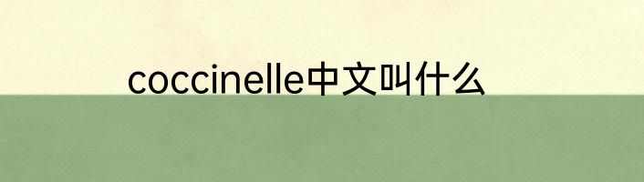coccinelle中文叫什么
